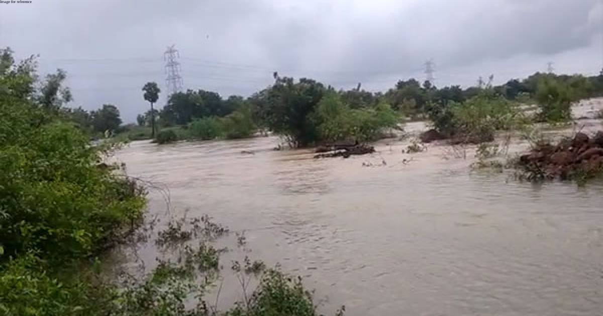 Cyclone Mandous: Traffic disrupted in Andhra's Venkatagiri-Gudur highway in Nellore